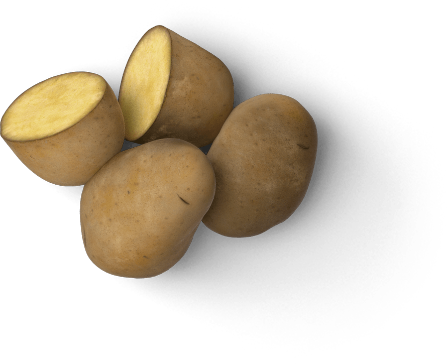 potato