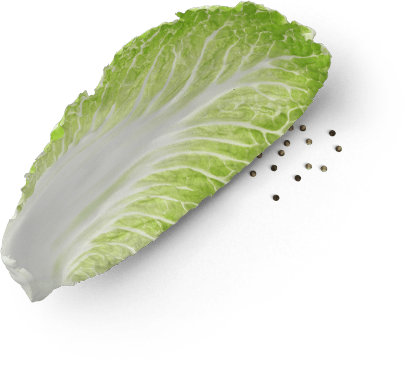 vegetable